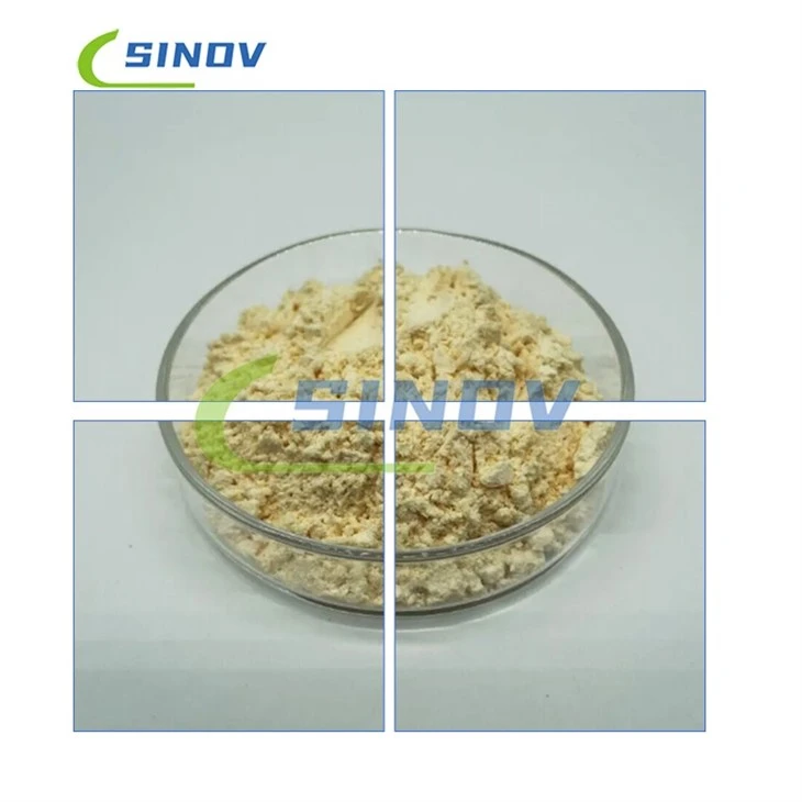 Glycyrrhiza Inflata Root Extract best